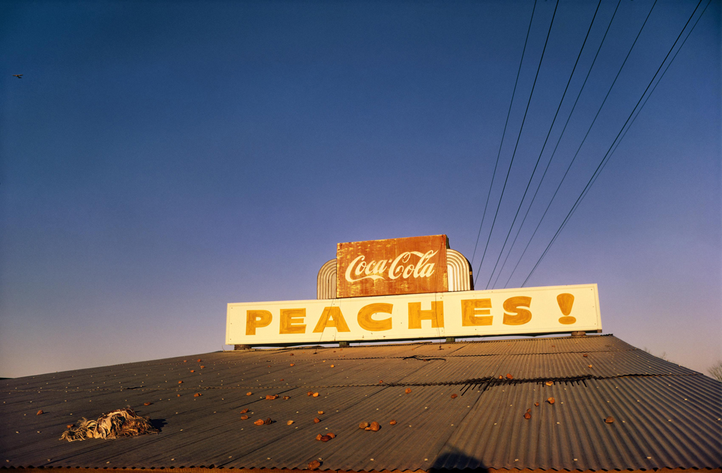 William Eggleston