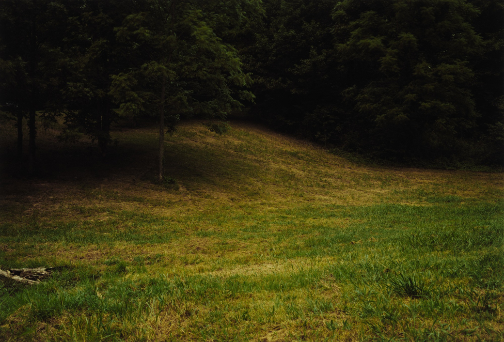 William-Eggleston-Untitled2-1975-MOMA