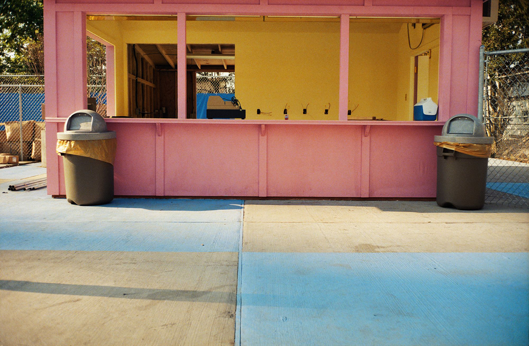 eggleston-1983-1986-s-TheDemocraticForest-ArtistTrust-c-DavidZinner-1