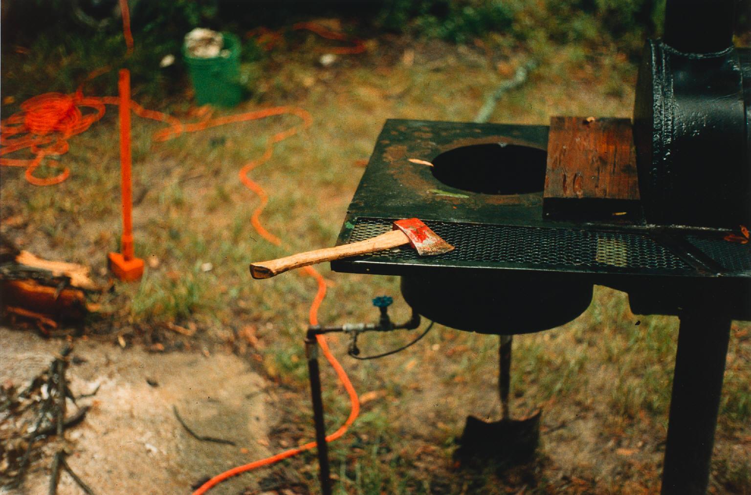 eggleston-1983-1986-s-TheDemocraticForest-axe