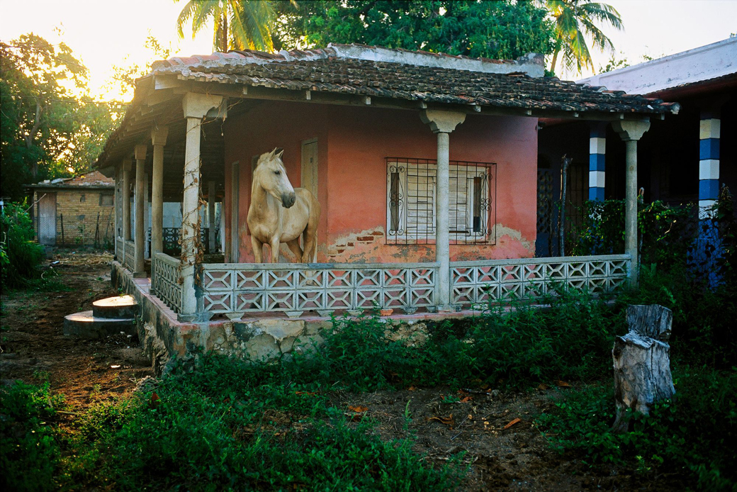 DavidAlanHarvey-WorkHorseOnAfamily-sPorch-Cuba1998