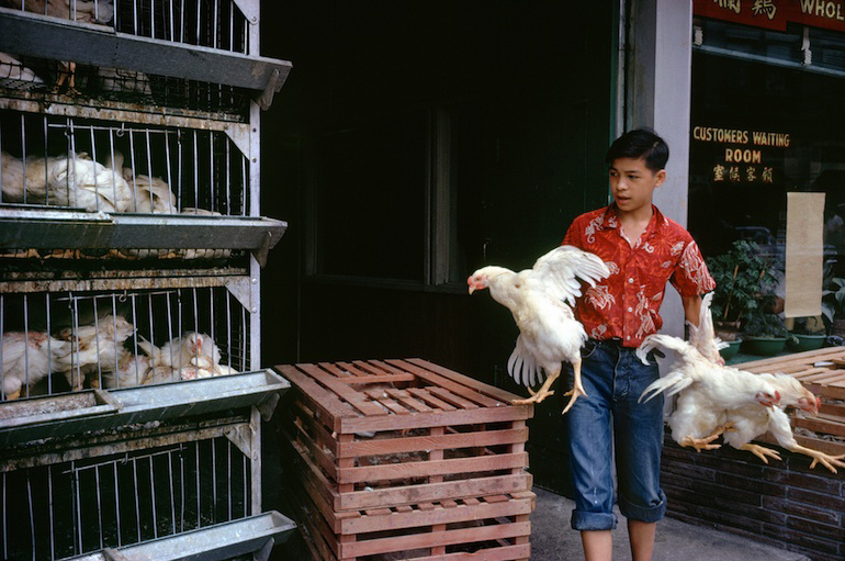 FredHerzog-Chinatown1961