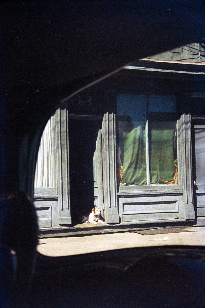 Saul Leiter